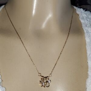 2 for 15 JCPenney paloma ellie New necklace gold